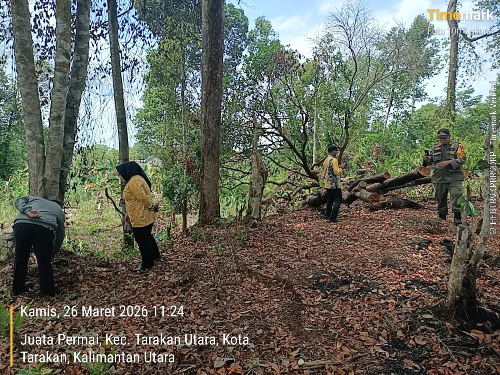 Monitoring Peninjauan Lapangan Perambahan Hutan Di Lahan Milik Pemerintah Kota Tarakan